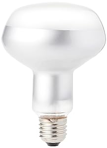 Lampe Spot Intense pour Bronzage Exo Terra (Occasion Bon)