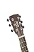 Cort EARTHGO-OPBB Earth Go HyVibe H2 Acoustic Electric Guitar Open Pore Brown Burst w/Bag