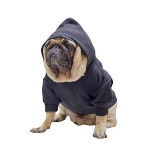 Super Soft Trendy Hoodies for Pet – Ultra Comfort Dog Apparel for Your Fashionable Furie (L)