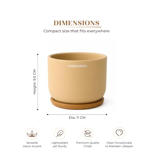 Image of Habere India-All the Cultures Fabricating India Plant Pot with Wooden Plate | Flower Pots for Dining Table & Home Decor | Terracotta Pot for Living Room Decoration (Beige, Dia11 x H10 cm)