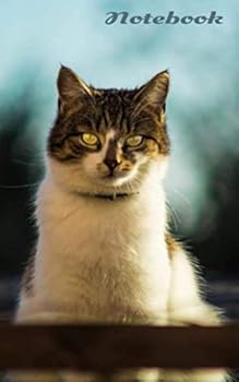 Paperback Notebook (cats) Book