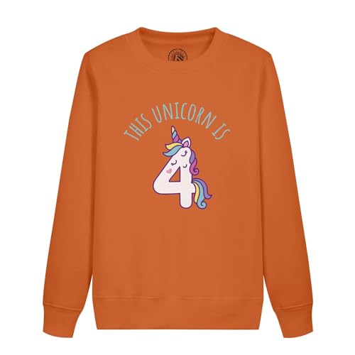 Sweatshirt enfant licorne 4 ans idée cadeau originale pour anniversaire magique