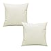 Haus und Deko 2er Pack Füllkissen Federn Kissen Inlett Kissenfüllung Kopfkissen Innenkissen Federkissen Baumwolle (30x30 cm)