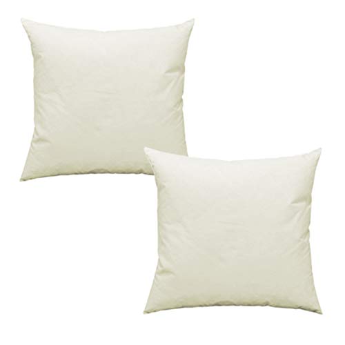 Haus und Deko 2er Pack Füllkissen Federn Kissen Inlett Kissenfüllung Kopfkissen Innenkissen Federkissen Baumwolle (35x35 cm) 5 Haus und Deko 2er Pack Füllkissen Federn Kissen Inlett Kissenfüllung Kopfkissen Innenkissen Federkissen Baumwolle (35x35 cm)