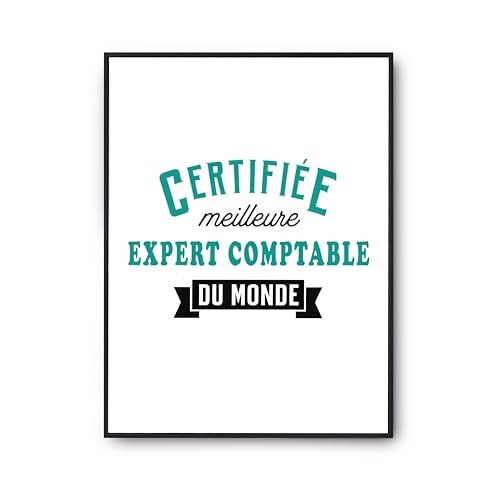Affiche certifiée meilleure expert comptable poster humour imprimé en France