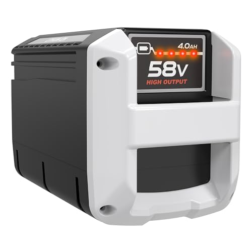 ELECtrysium 58V 4.0Ah Replacement Battery