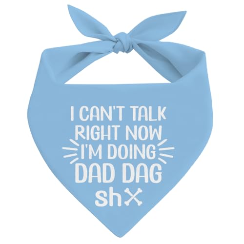 ���p�o���_�i�A���^���^���p�y�b�g�J�[�`�[�t�A�u���[�y�b�g�J�[�`�[�t�A�ʔ������̃X�J�[�t�O�p�`�A�y�b�g�X�J�[�t�O�p�`�A�����D�Ƃւ̃M�t�g