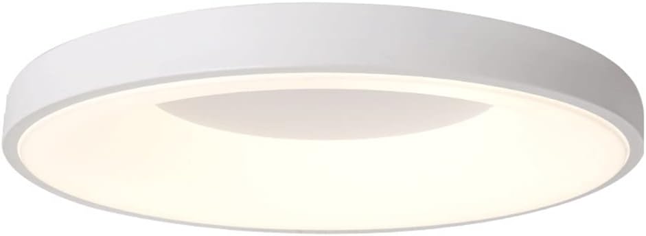 Circular Modern Ceiling Lamp Personalized Modern Panel Lights Color Personalized Flat Light Iron Art Lampshade Flush Lights LED Circular Ceiling Lamp for Living Room Bedroom Foyer Hallway (White 11.8