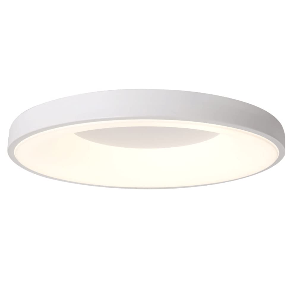 Circular Modern Ceiling Lamp Personalized Modern Panel Lights Color Personalized Flat Light Iron Art Lampshade Flush Lights LED Circular Ceiling Lamp for Living Room Bedroom Foyer Hallway (White 11.8