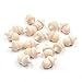 NC 10/20Pcs Glands inachevés Gland en Bois Naturel Bricolage décoration de Mariage Enfants Enfant Graffiti Dessin Jouet Glands en Bois pour Enfant Peinture décoration de la Maison