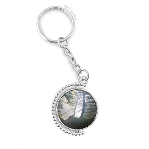 Llavero giratorio de paisaje forestal ideal para regalo con anillo pilgrim