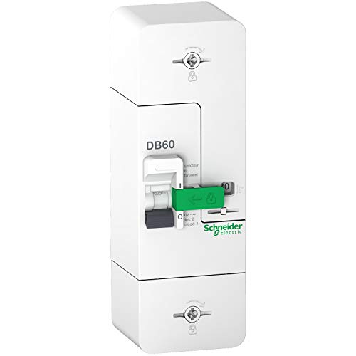 Disjoncteur branchement Schneider R9FN660 Resi9 DB60 1P+N 60A fixe pour tableau électrique
