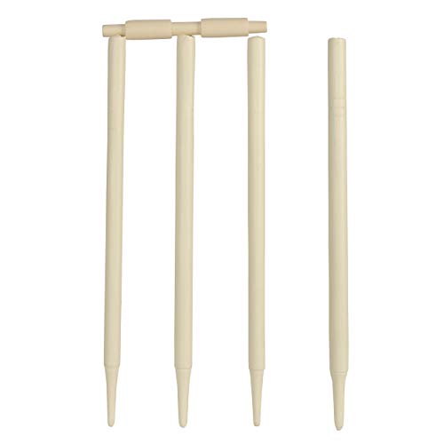 Cricket Set Size 5 – Image 5