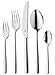 WMF 1289909990 Texas Set de Couverts - 60 pièces
