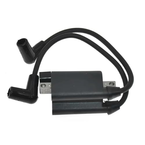 Module d'allumage boîtier CDI et bobine haute tension 72866G01 pour chariot de golf EZGO 2003