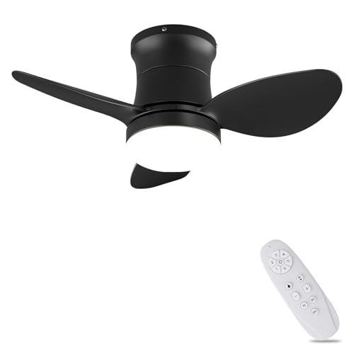 AUTODAY Ventilatore Da Soffitto Piccolo Silenziatore Dc Ventilatore A Soffitto Con Luce (Nero...