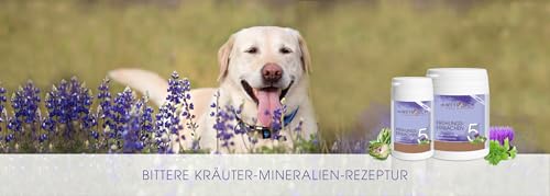 Dr. Weyrauch Nr. 5 Frühlingserwachen | 180 Kapseln | Ergänzungsfuttermittel für Hunde | Mit Vitamin E