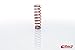 Eibach XT Barrel Spring-Extreme 1200.2530.0425 Travel Set Of 1