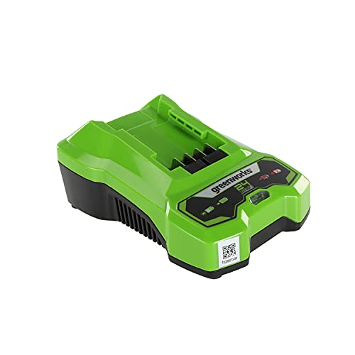 Greenworks Tools Chargeur de batterie G24C (Li-Ion 24 V sortie 48W convient à toutes les batteries de la série 24 V de Greenworks)