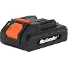 MAXLANDER 2.0Ah Lithium Replacement Battery, 20V Rechargeable Battery with Led Indicator Compatible for Garden Power Tools