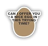 CAN I OFFER YOU A NICE EGG IN THIS TRYING TIME Sticker - Egg Precision Cut Decal - Perfect for Car, Truck, Window, Laptop, Bumper, Luggage, Water Bottle - Durable & Waterproof Stickers (6'w X 5.4'h)