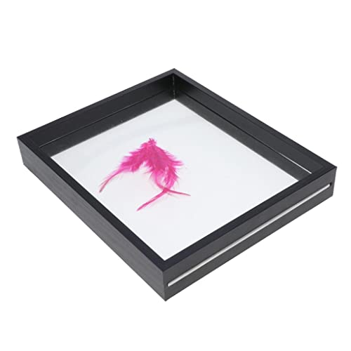 CLUB BOLLYWOOD The Style Sutra 3D Albums Frame Shadow Box Medal Ring Coin Jewelry Display Case Black|Multi-Purpose|1 x Frame Deal