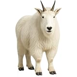 EnjoyView Mountain Goat 3FT Life Size Cardboard Cutout, Fun Animal Standup, Perfect for Events, Party Decor, Birthday and Photos, 1 PC