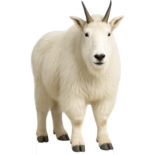 Image of Mountain Goat 2FT Life Size Cardboard Cutout Standup, 1 PC