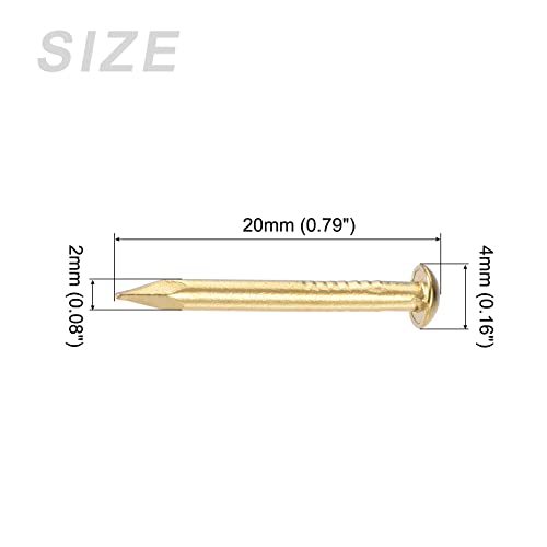 METALLIXITY Small Nails (2x20mm) 60pcs, Brass Tiny Hardware Nails - for Household Woodworking Brass Tone - Image 2