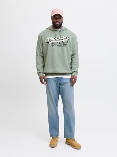 JACK & JONES JJELOGO Sweat Hood 2 COL 24/25 NOOS – Ansicht 5
