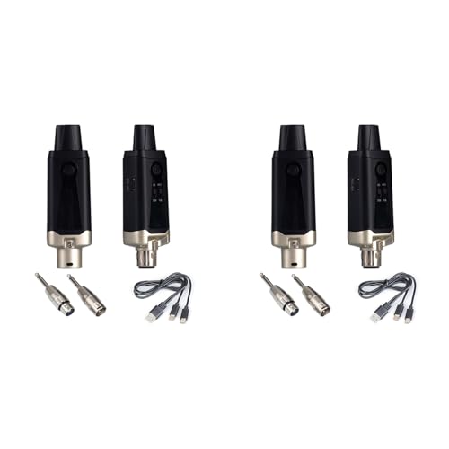 Système de microphone XLR sans fil idéal pour animer vos soirées et concerts sur scène