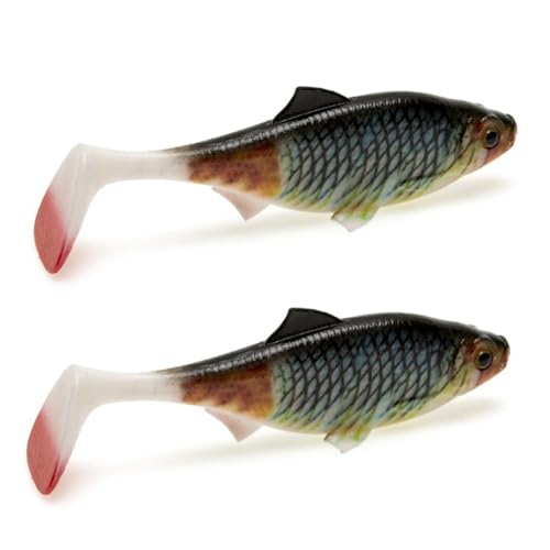 Uxsjakjsd Paquete de 2 Señuelos de Pesca de Plástico Blando, Cebos de Natación con de con Ojos 3D, Cebo con de Que Se Hunde Estilo A
