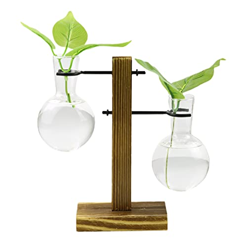 KHBNHJ Terrarium en verre avec support en bois - Pour plantes hydroponiques - Pour la maison, le jardin, le bureau - Plantes non incluses Cover