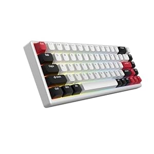 ARBITER Polar 65 – CNC Magnetic Gaming Keyboard w Rapid Trigger, Hall Effect Switches, CNC Aluminum Frame, Rapid Trigger, 65% Compact, Bright RGB, Dual-Shot PBT Keycaps – Ronin Red – Gin
