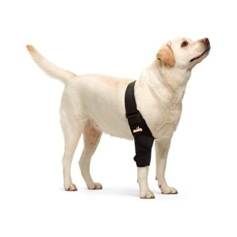 NeoAlly Dog Elbow Brace Protector Pads for Canine Elbow and Shoulder Support Elbow Hygroma, Dysplasia, Osteoarthritis, Elbow Calluses, Pressure Sores and Shoulder Dislocation (Right Leg, Large) Cover