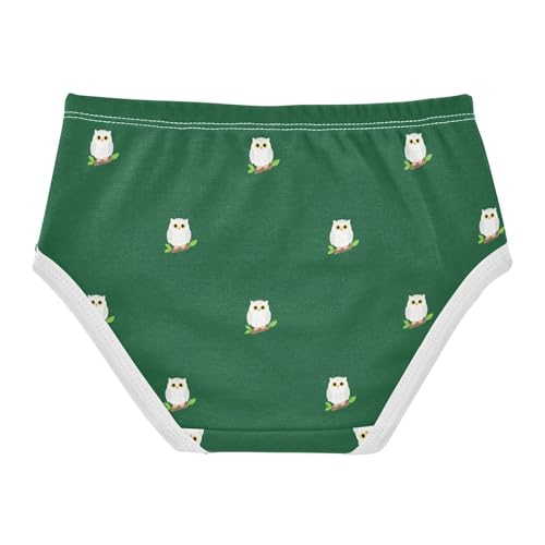 Cute Owl Bird Green Toddler Girls's Underwear 2T 23022362