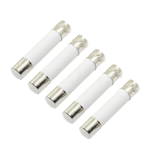 Fusible en céramique 6x30mm 10A cartouche de protection électrique pour tableau 250V