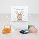 annaundfelix 5X Glücksstein Ostern • Ostergeschenk Osterkorb Tischdeko Geschenk Ostern • Glücksbringer Kinder Erwachsene • Geschenkidee Karte • Glücksbringer Stein zu Ostern (5X Glücksstein)