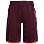 (602) Dark Maroon / Beta / White