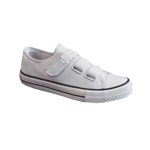 [Szz] Xj[J[ fB[X LoX [XAbv n JWAV[Y ~ IV ₷ ʋC ʊw ʋ Z w lG  23.0 cm