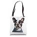 Cute Boston Terrier Wearing a Sweater Tote Bag