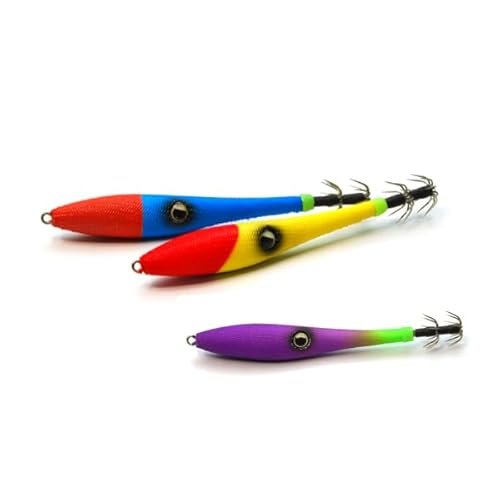 CYWp(RISE JAPAN) }CbJ^ 30 #MM08.CJO[hbg