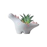 HVEST Dinosaur Shaped Planter, Cute Funny Blue Animal Dinosaur Succulent Cactus Plant Pots for Family Friends, Mini Dinosaur Ceramic Planters for Indoor Home Office Garden Desktop Decoration
