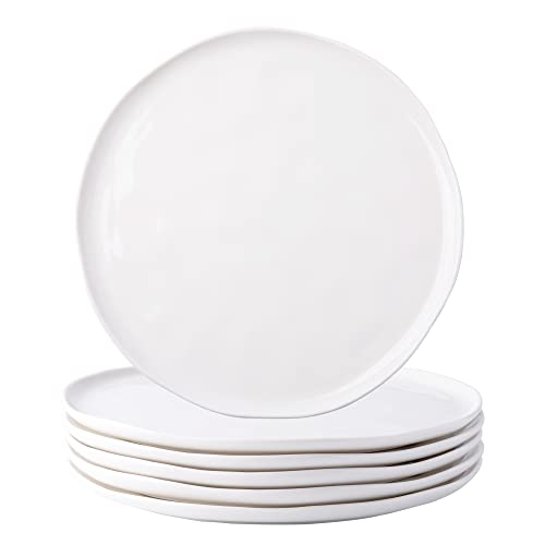 Dinner Plates,10.5 inch Ceramic Plates Set of 6