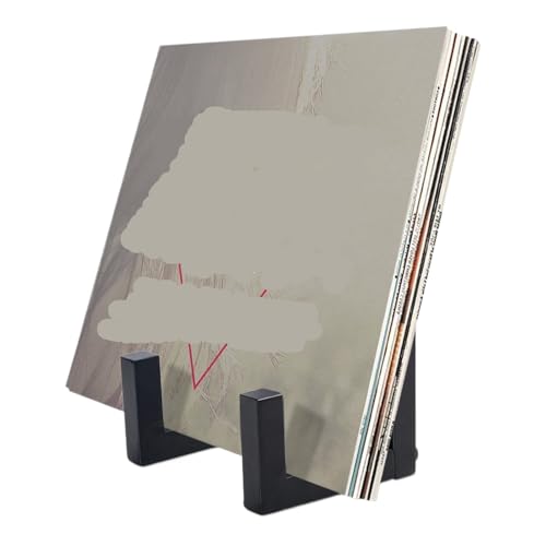 SAGELSHN Porta Vinili Mobile Vinili Portadischi in Vinile Portadischi LP Portadischi in Metallo for Dischi in Vinile Porta Dischi Vinile