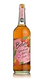 Belvoir Pink Lady Presse 12 x 275ml – Refreshing Apple & Elderflower Drink - Image 1