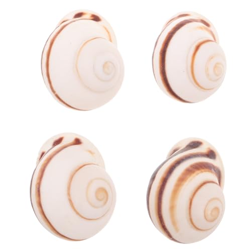 Kichvoe 4 Conchas de Caracol Reutilizables para Servir al Estilo francés. Elegante vajilla para repostería, Uso doméstico, en la Cocina y en el Comedor.