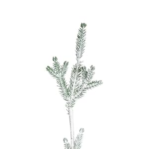 Northlight Frosted Slim Pine Artificial Christmas Tree in Burlap Base 5 Unlit