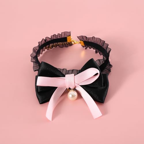 FUNETOyybgp PANZT[zp[{  L p \ xxbg [X ԕ tHgvbv EFfBO LO v[g ^ ^ S݌v (ubN, XS)