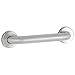 Concealed Mounting with Diameter Snap Flange Grab Bar Grab Bar Size: 36